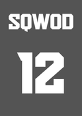 Sqwod Premium Membership logo featuring the number 12, representing exclusive gym sessions in a private setting.
